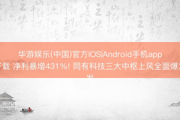 华游娱乐(中国)官方IOS|Android手机app下载 净利暴增431%! 同有科技三大中枢上风全面爆发