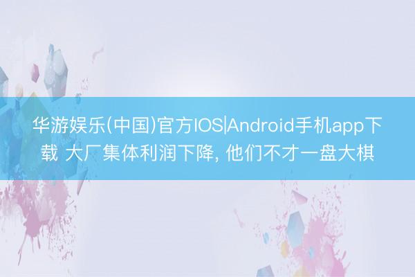 华游娱乐(中国)官方IOS|Android手机app下载 大厂集体利润下降, 他们不才一盘大棋