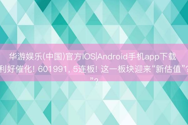 华游娱乐(中国)官方IOS|Android手机app下载 利好催化! 601991, 5连板! 这一板块迎来“新估值”?