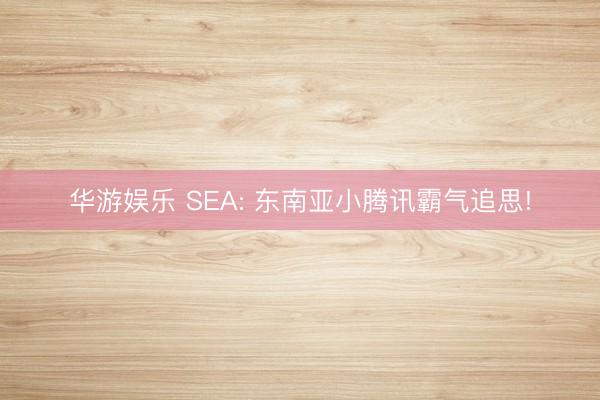 华游娱乐 SEA: 东南亚小腾讯霸气追思!