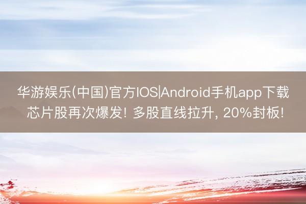 华游娱乐(中国)官方IOS|Android手机app下载 芯片股再次爆发! 多股直线拉升, 20%封板!