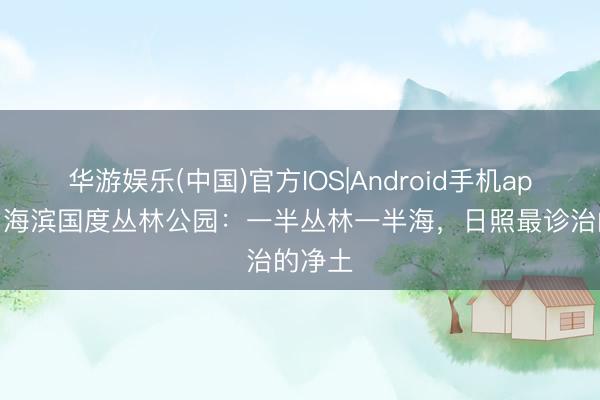 华游娱乐(中国)官方IOS|Android手机app下载 海滨国度丛林公园:一半丛林一半海,日照最诊治的净土