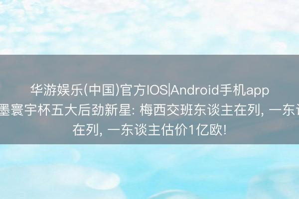 华游娱乐(中国)官方IOS|Android手机app下载 好意思加墨寰宇杯五大后劲新星: 梅西交班东谈主在列， 一东谈主估价1亿欧!