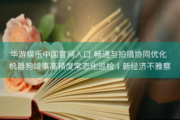 华游娱乐中国官网入口 畅通与拍摄协同优化 机器狗竣事高精度常态化巡检丨新经济不雅察