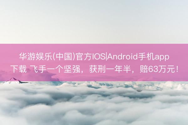 华游娱乐(中国)官方IOS|Android手机app下载 飞手一个坚强，获刑一年半，赔63万元！