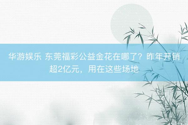 华游娱乐 东莞福彩公益金花在哪了？昨年开销超2亿元，用在这些场地